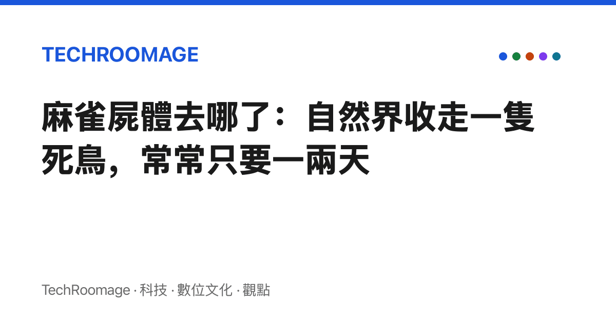 麻雀屍體去哪了：自然界收走一隻死鳥，常常只要一兩天