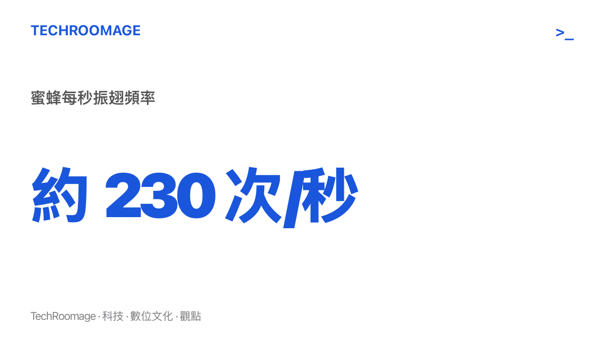 統計圖卡呈現蜜蜂每秒振翅約兩百三十次，說明短翅膀靠高頻拍打讓翅尖以高速掃過空氣產生升力