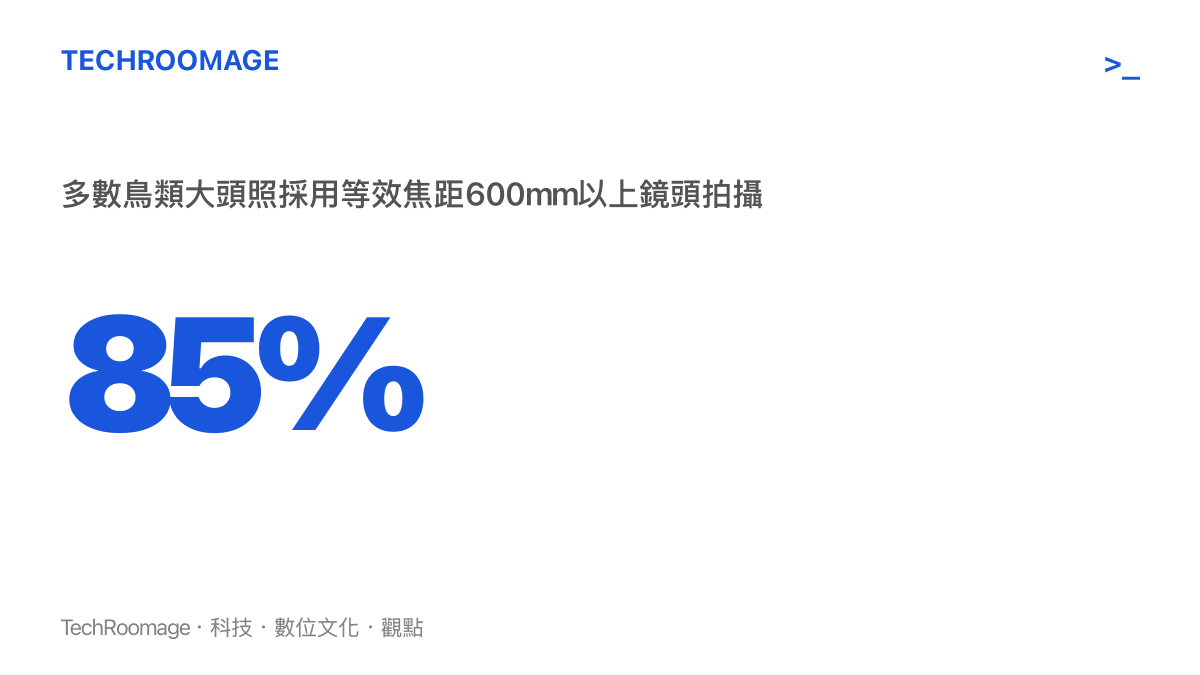 統計數據說明高比例的鳥類大頭照依賴超過六百毫米的長焦鏡頭來拍攝