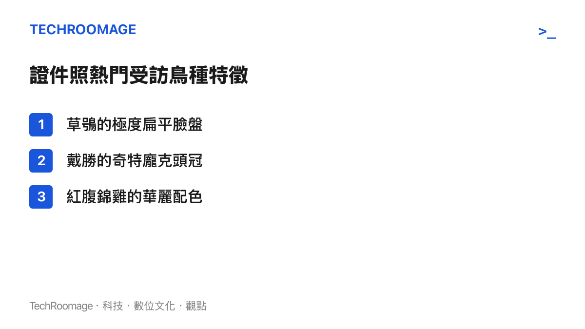 列出草鴞的扁臉、戴勝的頭冠與紅腹錦雞的配色等最受歡迎的鳥類證件照主角特徵