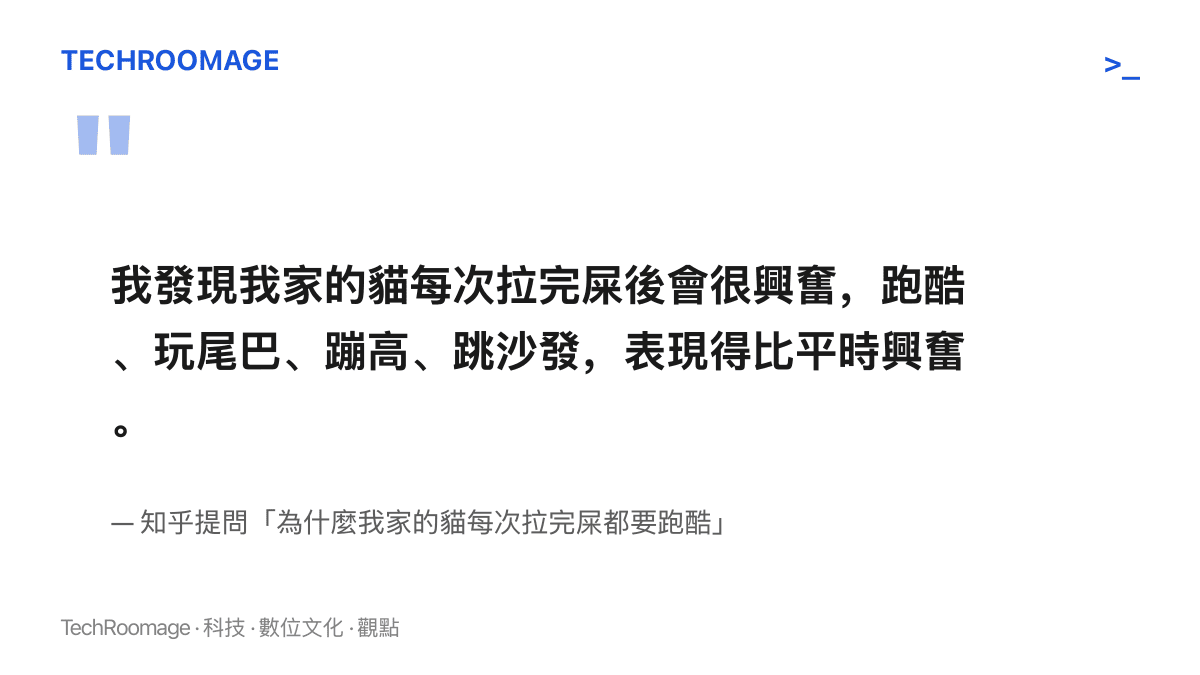 知乎飼主提問的原文節錄，描述自家貓在排便後出現跑酷、玩尾巴、蹦高與跳沙發等比平時興奮的行為