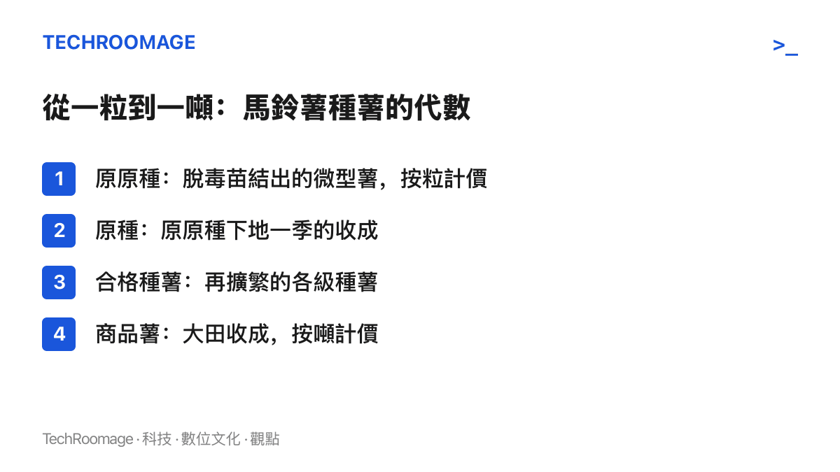 圖卡由上而下列出馬鈴薯從原原種、原種、合格種薯到商品薯的代數順序，並標註原原種按粒計價、商品薯按噸計價的對比