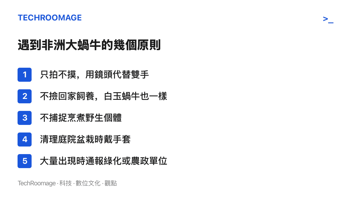 清單圖卡列出遇到非洲大蝸牛時的五個處理原則：只拍不摸、不撿回家飼養、不捕捉烹煮野生個體、清理時戴手套、大量出現時通報主管單位