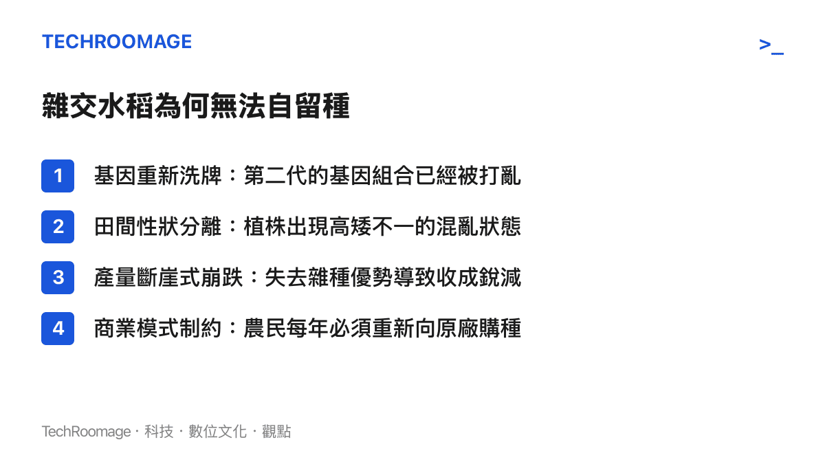 列舉雜交水稻第二代無法直接留作種子的四個生物學與商業因素