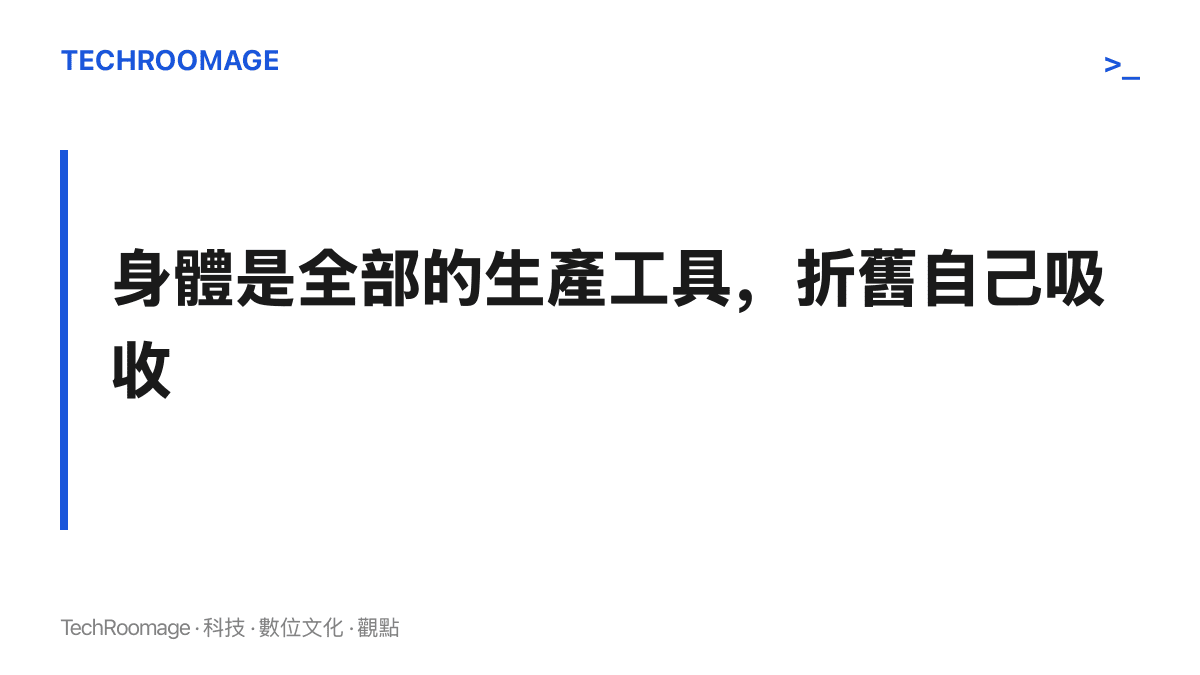 圖卡以「身體是全部的生產工具，折舊自己吸收」為題，指出街球選手不在職業體系保障內、傷病與體能消耗的成本須自行承擔的處境