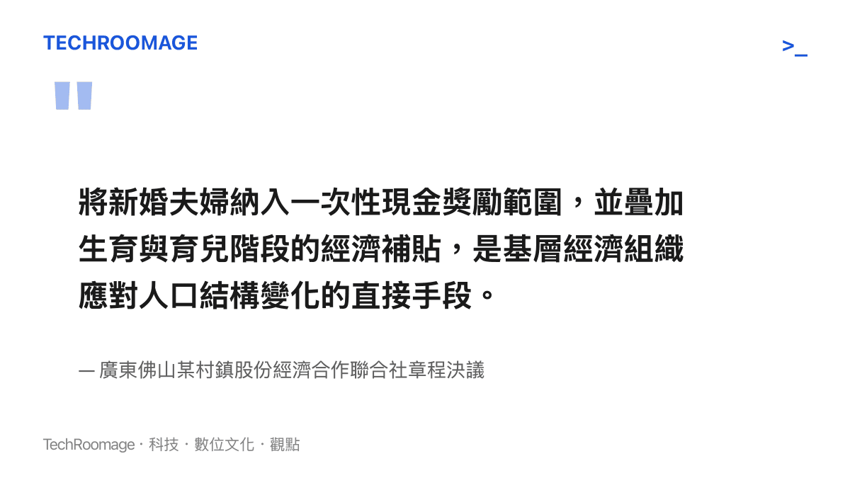 廣東省某村鎮通過章程向新婚夫婦發放現金獎勵與生育補貼的政策重點摘錄
