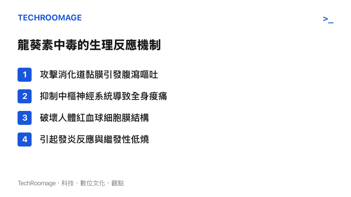 圖卡列出龍葵素進入人體消化系統後，引發腹瀉、神經痠痛與低燒等連鎖生理反應的四大機制